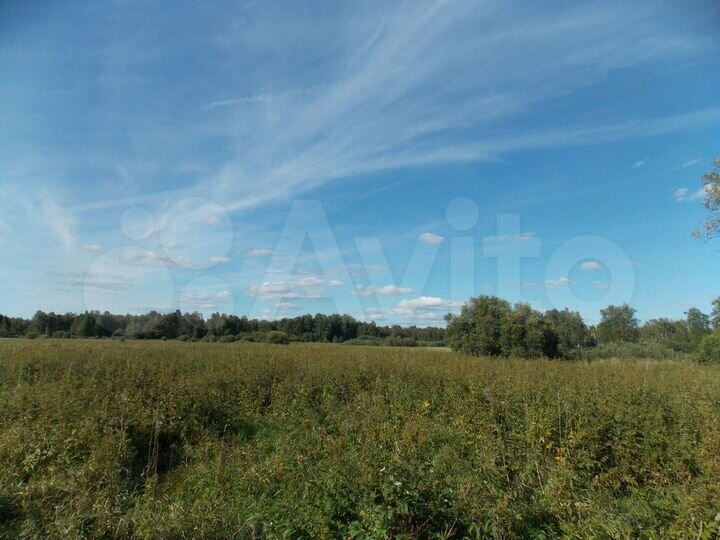 Участок 81,09 га (СНТ, ДНП)