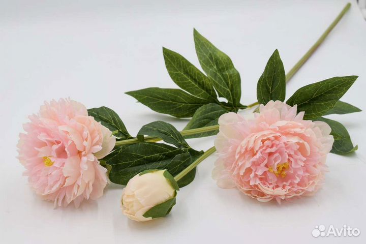 Ветка пион ботаническая копия, премиум класса