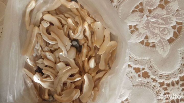 Ракушки для рукоделия