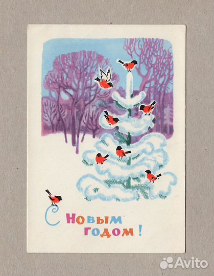 Задачки дома не решала Низовая школа дети