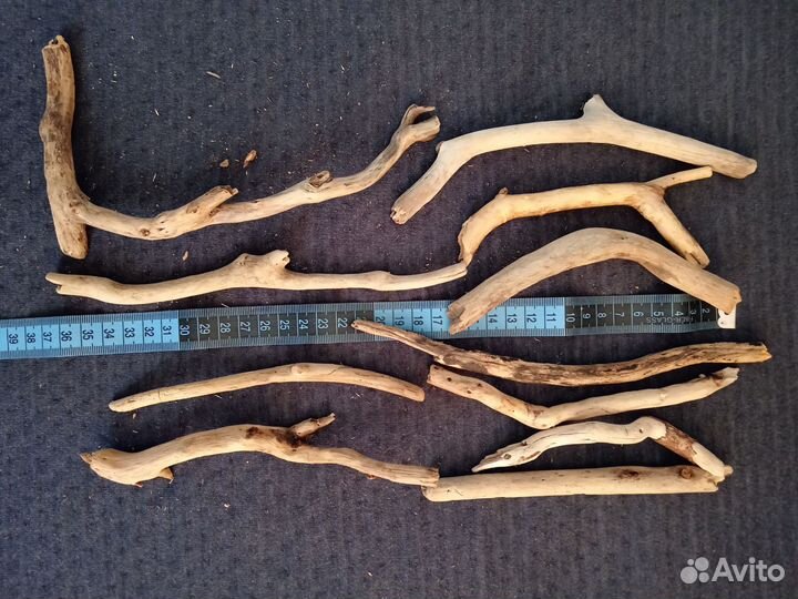 Коряги дрифтвуд