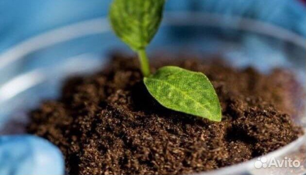 Земля плодородная