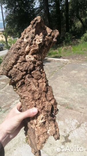 Кора пробкового дуба, лианы, лоза