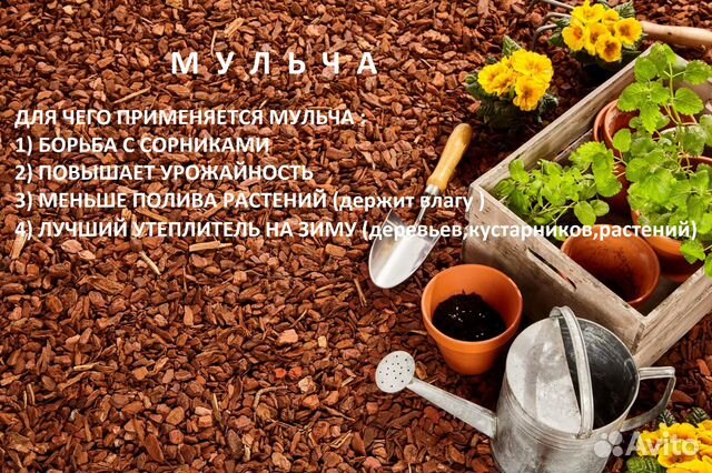 Мульча хвойных пород купить в Санкт-Петербурге | Товары для дома и дачи ...
