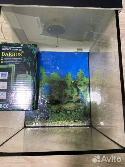 Аквариум 30 литров