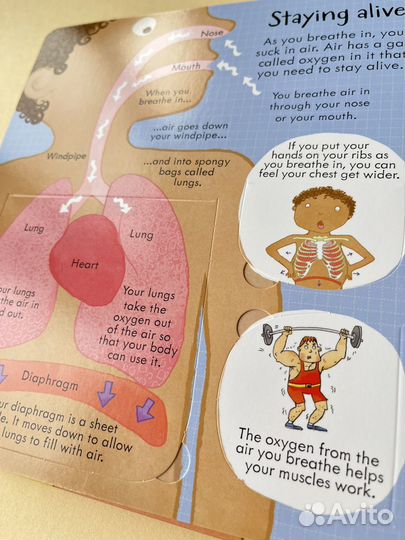 Книга на английском языке новая