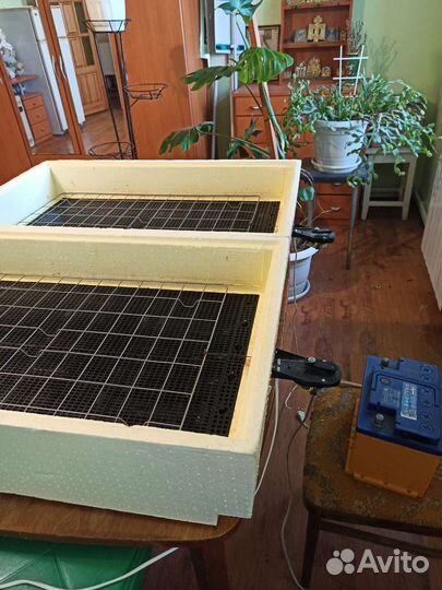 Автоматический инкубатор на 98 яиц