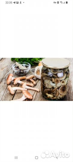 Маринованные опята