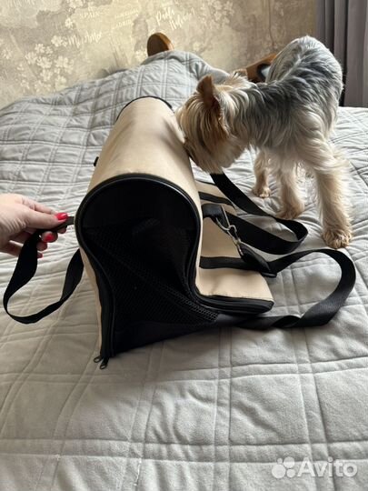 Переноска для собак и кошек