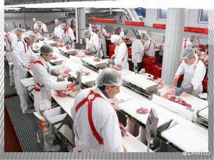 Обвальщик мяса вахта