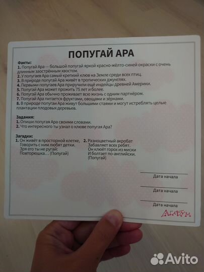 Набор развивающих карточек