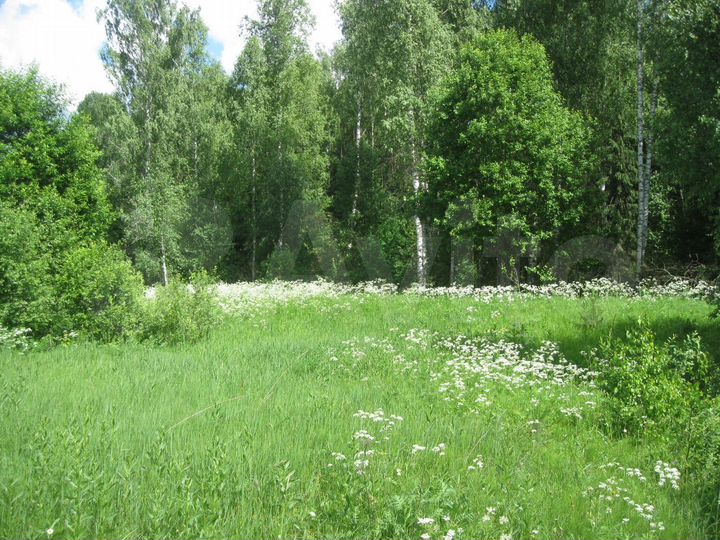 Участок 10 га (СНТ, ДНП)