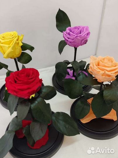 Роза в колбе