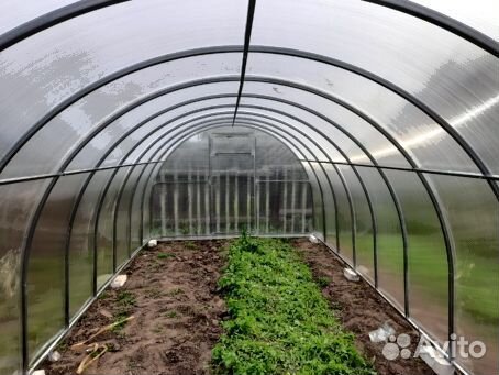 Теплица оцинкованная