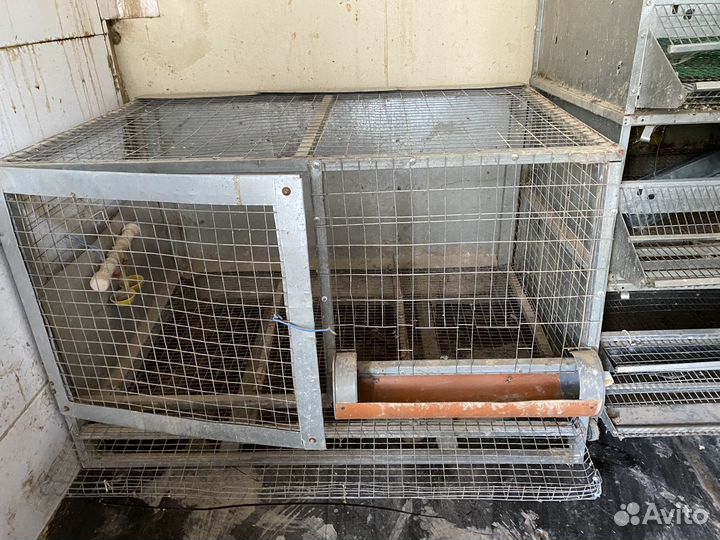 Клетки для перепелов