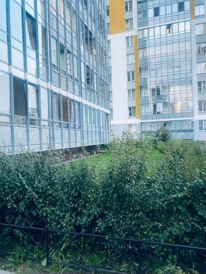 Квартира-студия, 24,4 м², 13/25 эт.