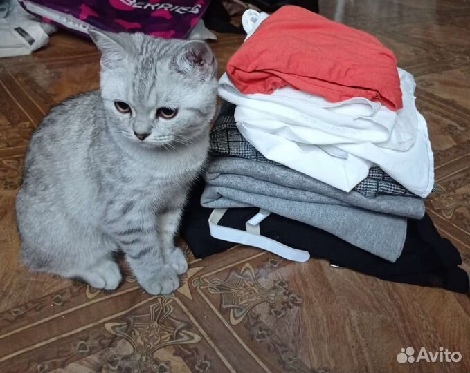 Пакет вещей