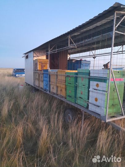 Пчелоприцеп легковой