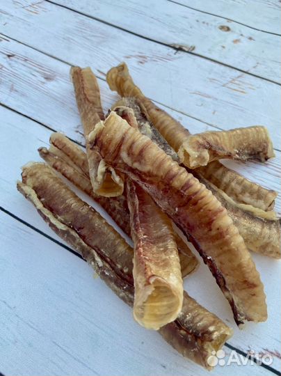 Корм для собак