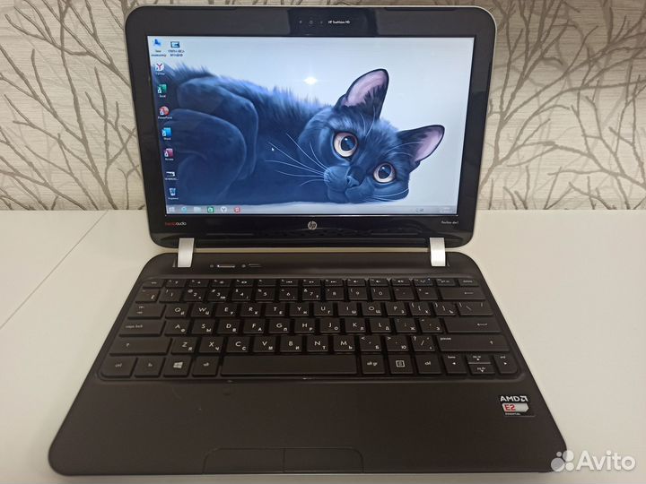 Нетбук HP Pavilion dm1 2/4/SSD