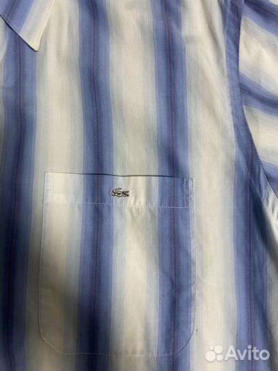 Рубашка lacoste оригинал