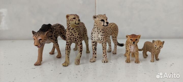 Дикие и домашние кошки разных фирм