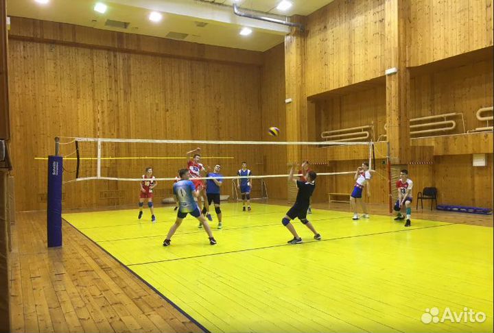 Игры в волейбол игры по волейболу