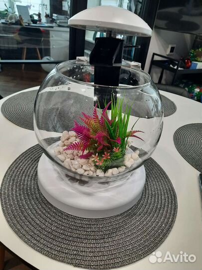 Аквариум для рыбок