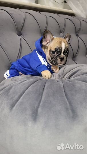 Супер детки