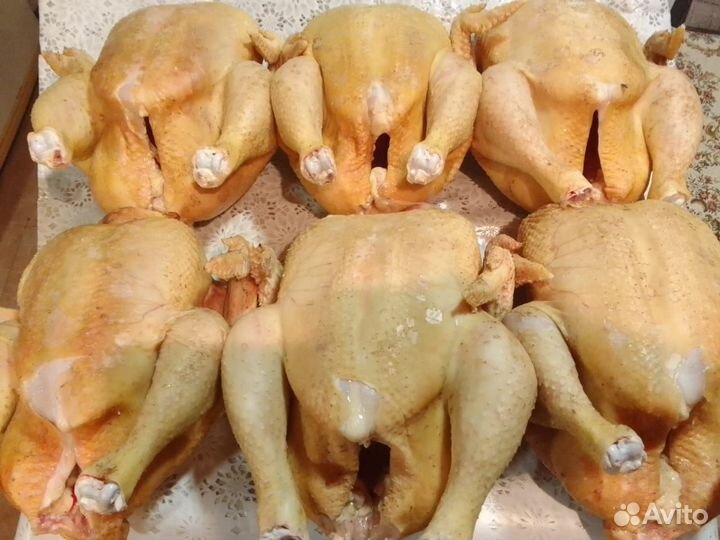 Мясо домашнего бройлера