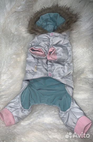 Одежда для собак