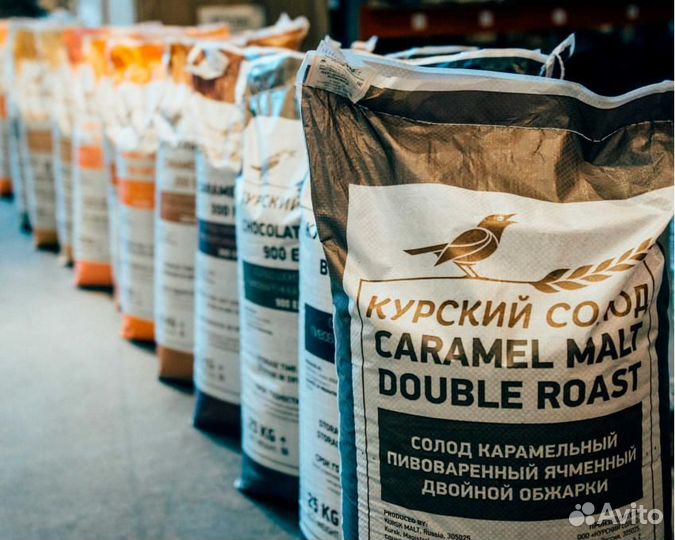 Солод Курский