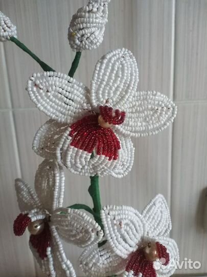 Орхидея Фаленопсис из бисера
