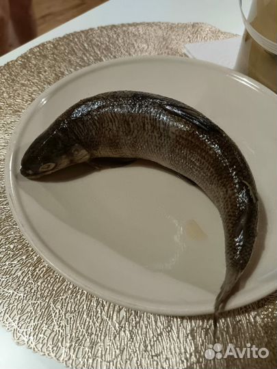 Сырок вяленый