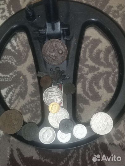 Металлоискатель минелаб х терра 705