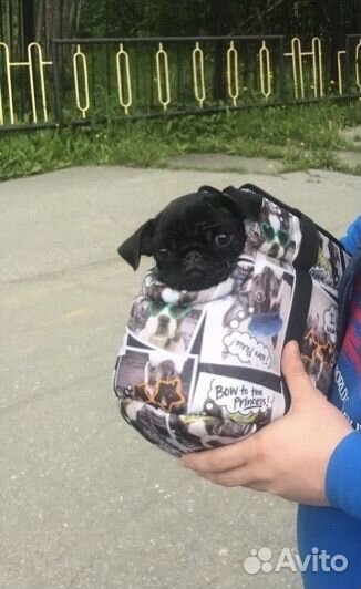 Сумка переноска для животных