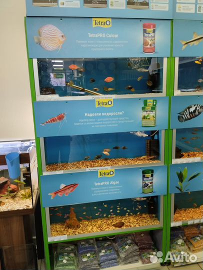 Стойки с аквариумами для продажи рыбок
