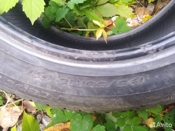 Hankook Winter I'Cept IZ2 195/55 R16 91