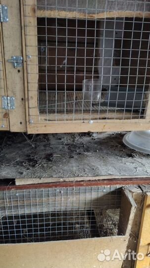 Клетка для кролика или нутрии