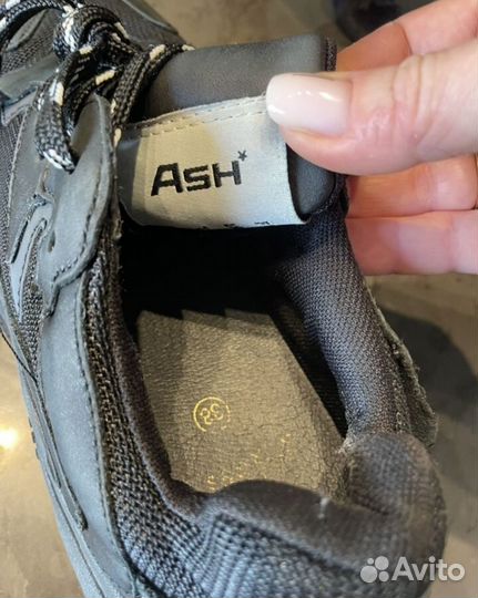 Кроссовки Ash addict