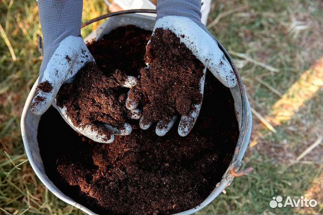 Перегной конский коровий