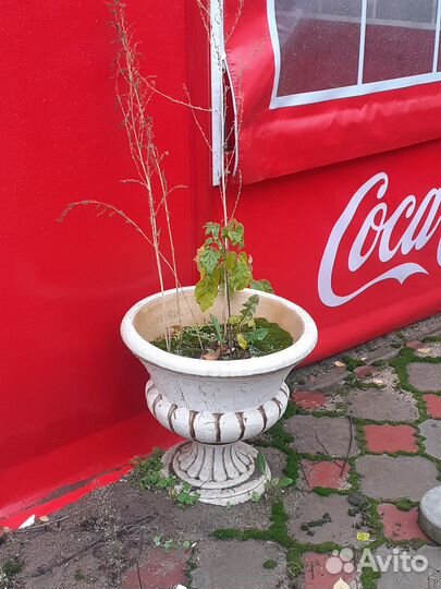Вазоны для цветы уличные