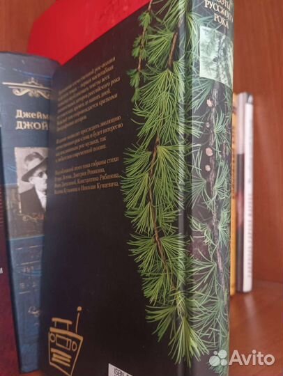 Поэты русского рока