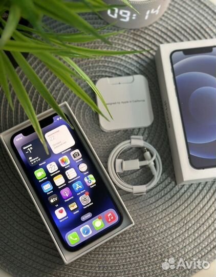 iPhone 12 mini, 256 ГБ