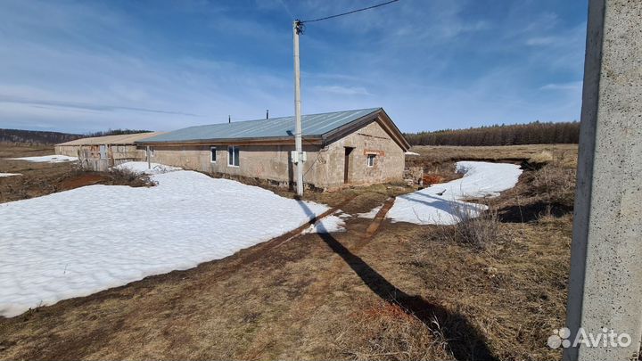 Животноводческая ферма