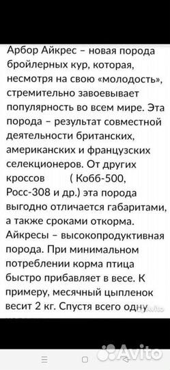 Бройлерные цыплята Арбор Айкрес