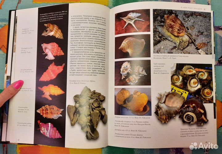 Новая книга 