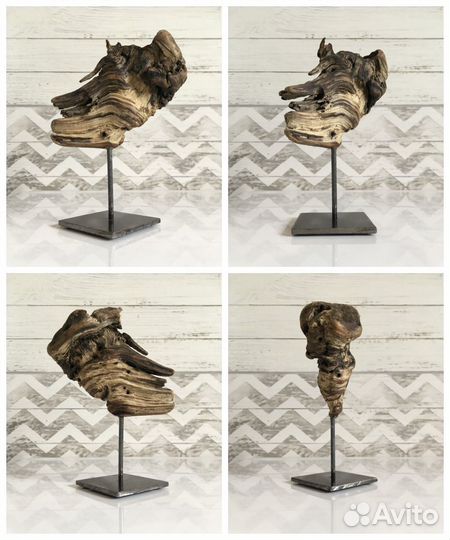 Тилландсия на подставке