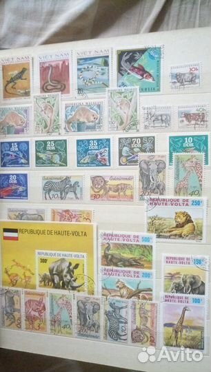 Марки Фауна Зарубежные 1964-1977г