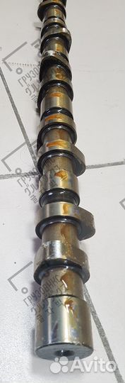 Распредвал двс длина 810mm 6HK1, Zevs CS4690